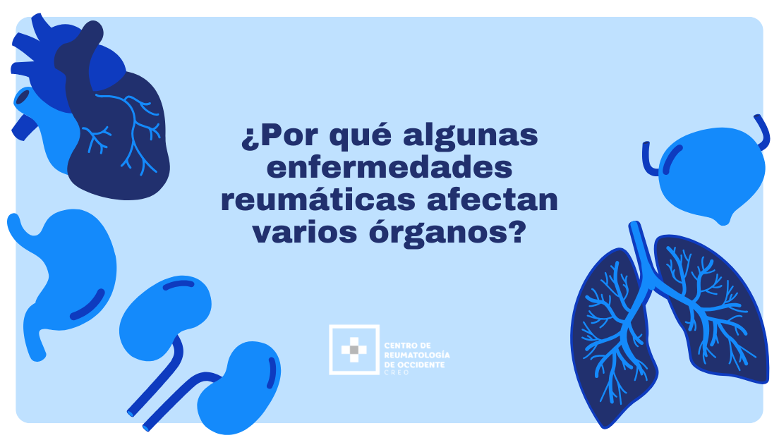 ¿Por qué algunas enfermedades reumáticas afectan varios órganos?