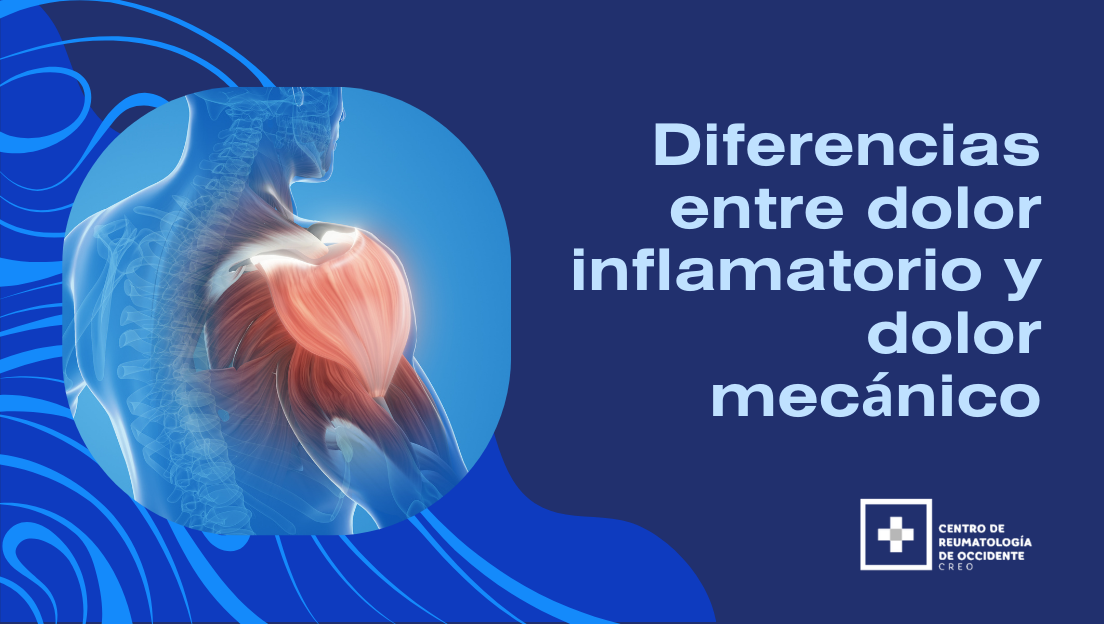 Diferencias entre dolor inflamatorio y dolor mecánico